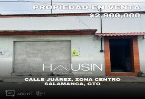 Foto de inmueble en  , Col. Salamanca Centro C.P. 36700, Salamanca