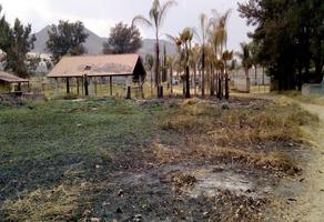 Foto de inmueble en Terreno EN Venta EN SAN Agustin, Tlajomulco JAL, Col. San Agustin C.P. 45645, Tlajomulco de Zúñiga