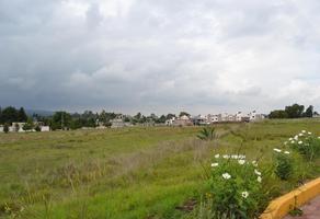 Foto de inmueble en , Col. San Andrés Ahuashuatepec C.P. 90491, Tzompantepec