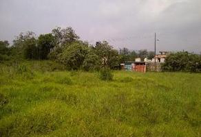 Foto de inmueble en Excelente Terreno Bardeado en Col. San Andrés Ahuayucan, Xochimilco., Col. San Andrés Ahuayucan C.P. 16810, Xochimilco