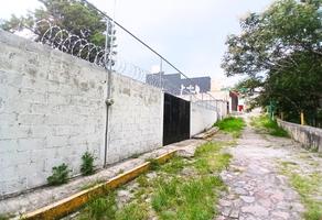 Foto de inmueble en , Col. San Buenaventura Atempan C.P. 90010, Tlaxcala