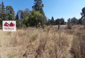 Foto de inmueble en San Diego Metepec, Tlaxcala, Tlaxcala, Col. San Diego Metepec C.P. 90110, Tlaxcala