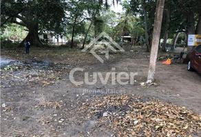 Foto de inmueble en  , Col. San Isidro C.P. 92030, Pueblo Viejo