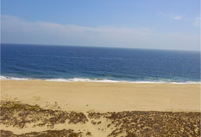 Foto de inmueble en Cam. A Las Playitas, 23300 Todos Santos, B.C.S. #s/n, Col. Las Tunas C.P. 23076, La Paz