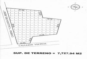 Foto de inmueble en San Juanico, Col. San Juanico Grande C.P. 78414, San Luis Potosí