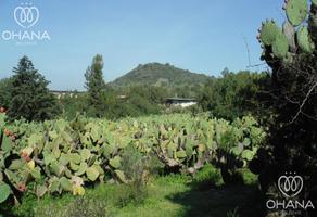 Foto de inmueble en , Col. San Martín de las Pirámides C.P. 55850, San Martín de las Pirámides