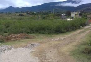 Foto de inmueble en  , Col. San Pablo Etla C.P. 68258, San Pablo Etla