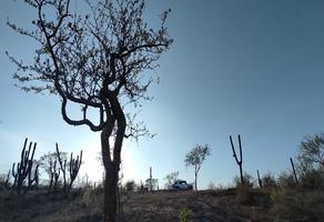 Foto de inmueble en San Pedro Martir, Col. Brisas del Pacifico C.P. 23473, Los Cabos