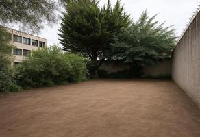 Foto de inmueble en  , Col. Santa Elena C.P. 52105, San Mateo Atenco