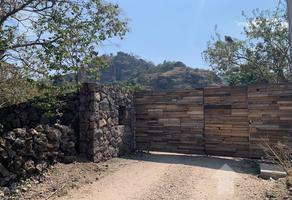 Foto de inmueble en , Col. Santo Domingo Ocotitlán C.P. 62524, Tepoztlán