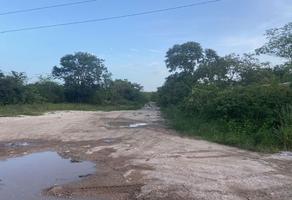 Foto de inmueble en S/C, Col. Paraíso C.P. 97206, Mérida