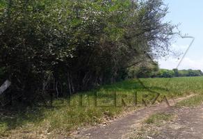 Foto de inmueble en Se encuentras en el Ejido La Victoria y Anexo, col, Col. Miguel Hidalgo C.P. 92770, Tuxpan