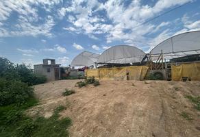 Foto de inmueble en sin nombre #1, Col. San Miguel Coatlinchán C.P. 56250, Texcoco