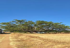 Foto de inmueble en SIN NOMBRE, Col. Cuilápam de Guerrero Centro C.P. 71400, Cuilápam de Guerrero