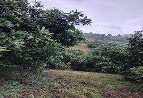Foto de inmueble en SIN NOMBRE, Col. Las Adelitas C.P. 58676, Zacapu