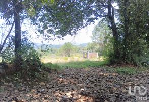 Foto de inmueble en SIN NOMBRE, Col. Los Reyes C.P. 43730, Acaxochitlán