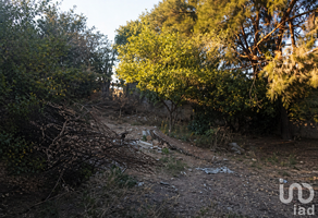 Foto de inmueble en sin nombre, Col. San Gabriel y San Ignacio C.P. 36924, Pénjamo