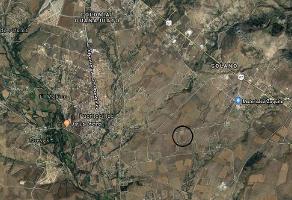Foto de inmueble en Terreno Rústico en Venta en Guanajuato por Puentecillas, Acceso por Carretera a Juventino Rosas, Col. El Establo C.P. 36259, Guanajuato
