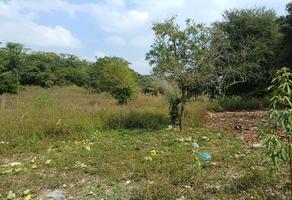 Foto de inmueble en , Col. Tantoyuca C.P. 92100, Tantoyuca
