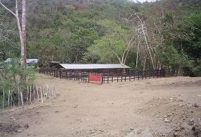 Foto de inmueble en  , Col. Tecolutla C.P. 93570, Tecolutla