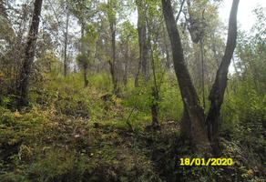 Foto de inmueble en  , Col. Temascaltepec de González C.P. 51300, Temascaltepec