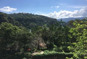 Foto de inmueble en TEOLINCHE KM 159 CARRETERA MEXICO ACAÚLCO - APROX, Col. Exconvento C.P. 40240, Taxco de Alarcón