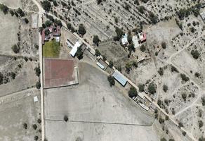 Foto de inmueble en  , Col. Tepojaco C.P. 43823, Tizayuca