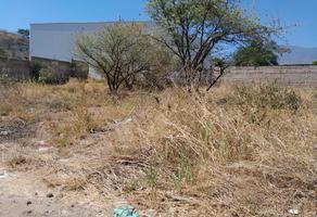 Foto de inmueble en  , Col. Tequila Centro C.P. 46400, Tequila