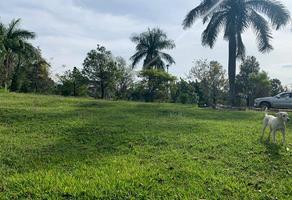 Foto de inmueble en Terreno en Ziracuaretiro, Michoacán., Col. Uruapan Centro C.P. 60000, Uruapan