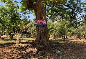 Foto de inmueble en Terreno en Ziracuaretiro, Michoacán., Col. Uruapan Centro C.P. 60000, Uruapan