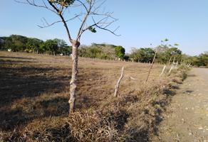 Foto de inmueble en  , Col. Tuna de Morelos C.P. 95223, Tlalixcoyan