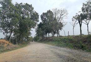 Foto de inmueble en  , Col. Tuxtepec C.P. 68345, San Juan Bautista Tuxtepec