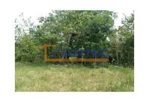 Foto de inmueble en  , Col. Unidad y Trabajo C.P. 93410, Papantla
