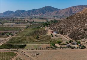 Foto de inmueble en Valle de Guadalupe, Col. El Porvenir C.P. 22755, Ensenada
