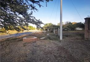 Foto de inmueble en  , Col. Venustiano Carranza C.P. 59160, Venustiano Carranza