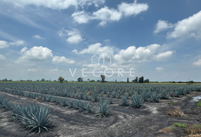 Foto de inmueble en  , Col. Venustiano Carranza C.P. 59160, Venustiano Carranza