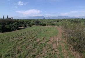 Foto de inmueble en Vidal vela, Col. Los Palmitos C.P. 67465, Cadereyta Jiménez