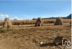 Foto de inmueble en Viejo Camino al Tenayo, Col. Tlalmanalco de Velázquez C.P. 56700, Tlalmanalco