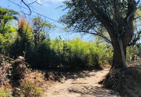 Foto de inmueble en  , Col. Villas de San Gaspar C.P. 62555, Jiutepec