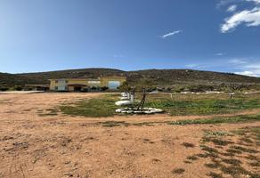 Foto de inmueble en Viña de frannes, Col. El Porvenir (Guadalupe) C.P. 22753, Ensenada