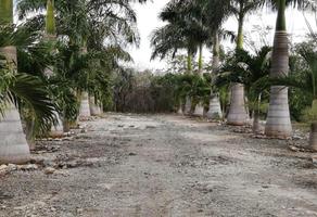 Foto de inmueble en  , Col. Xcunyá C.P. 97304, Mérida