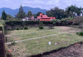 Foto de inmueble en LA Huerta None, Col. Xicotepec de Juárez Centro C.P. 73080, Xicotepec