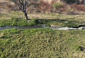 Foto de inmueble en  , Col. Xoxocotla C.P. 62680, Puente de Ixtla