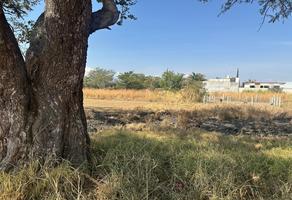 Foto de inmueble en  , Col. Xoxocotlan C.P. 71230, Santa Cruz Xoxocotlán