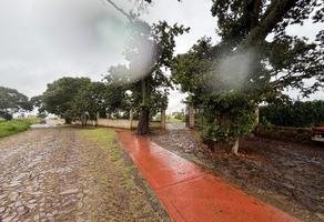 Foto de inmueble en , Col. Zapotlanejo C.P. 45430, Zapotlanejo
