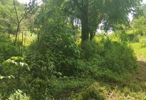 Foto de inmueble en Terreno EN Venta Ideal Para Cabañas, Col. La Pitahaya (Congregación Zoncuantla) C.P. 91612, Coatepec