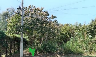 Foto de inmueble en BOSQUES DE LA PRIMAVERA #32, Col. Las Cañadas C.P. 45206, Zapopan