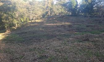 Foto de inmueble en Prolongación de Altamirano #sn, Col. San Antonio Tenextepec C.P. 91285, Perote
