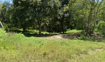 Foto de inmueble en ESPINA BLANCA, Col. Carolino Anaya (Espina Blanca) C.P. 91233, Tlalnelhuayocan