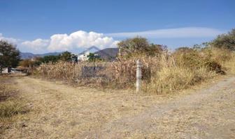 Foto de inmueble en 62738 Oaxtepec, Mor., Col. Campo los Limones C.P. 62738, Yautepec